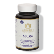 MA 320
