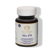 MA 579