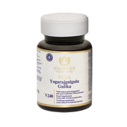 Yogarajgulgulu Gulika - V 240